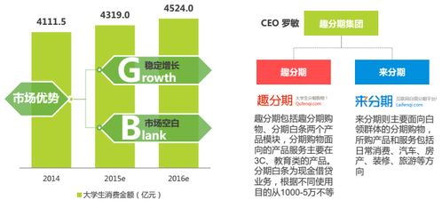 分期電商市場深度調研 現狀、機遇與挑戰